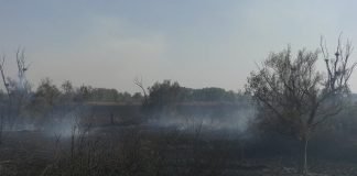 Apel građanima da ne pale travu i nisko rastinje na otvorenom prostoru