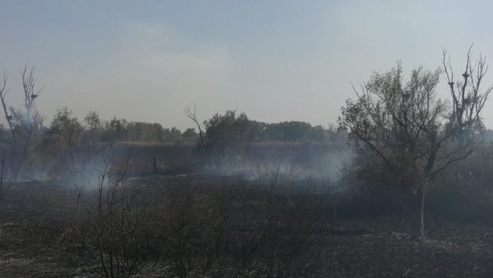 apel da se ne pali rastinje.mp4_snapshot_01.57.600