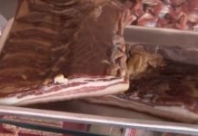 Kako je afrička kuga uticala na cene svinjetine u Srbiji?