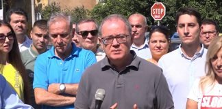 Lutovac – Potrebno je ukrupnjavanje i zajedničko delovanje