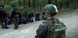 Velika akcija MUP-a na suzbijanju ilegalnih migracija