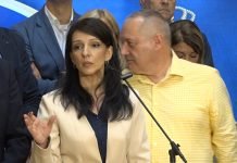 Marinika Tepić – Od sinoć Milenkovića i Mitića čuva SAJ