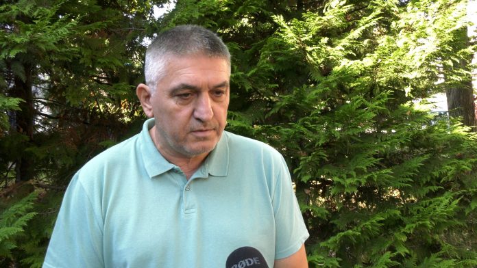 Petrušić