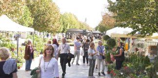 Jesenja Cvetna pijaca na Trgu slobode u Zrenjaninu