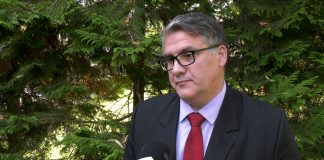Miodrag Gavrilović – Da li bi bilo opravdano da EU uvede sankcije protiv Vučića