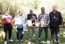 Zlatni pčelari iz Melenaca – Pet medalja na ocenjivanju meda u Hrvatskoj