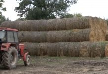 Počeo Popis poljoprivrede 2023. – Učešće obavezno, a propisane su i kaznene odredbe