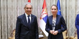 Velike mogućnosti za proširenje saradnje sa Turskom u oblasti energetike