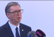 Vučić – Ne mogu da izručim Radoičića