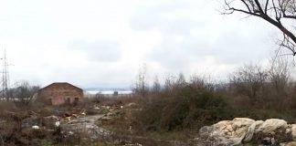 Vojvodini dodeljeno 320 miliona dinara za uklanjanje divljih deponija s poljoprivrednog zemljišta