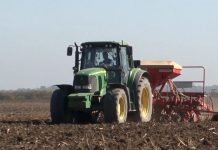 Kako najbolje obaviti setvu ječma i ozime pšenice