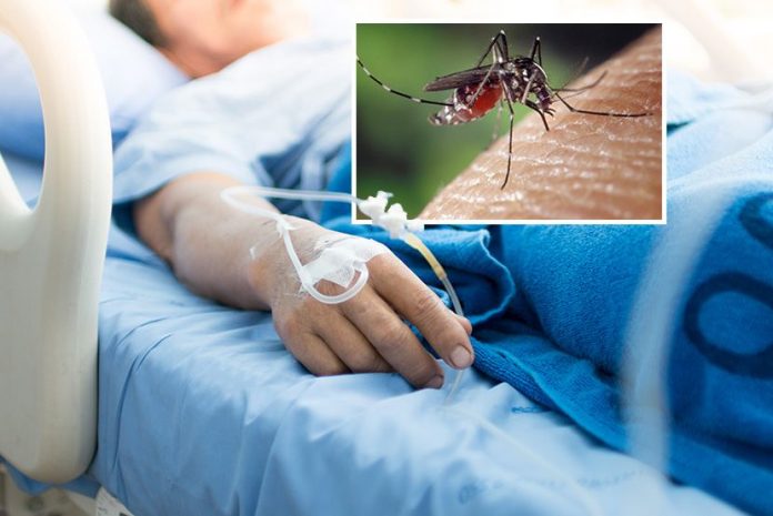komarci virus