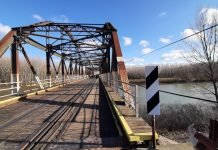 LSV – Vesić da promeni profesiju