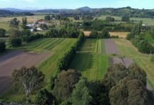 Za poljoprivredu u 2024. planirano 104,7 milijardi dinara