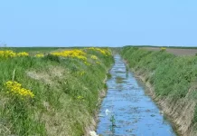 Od 1. januara 2024. poljoprivrednici neće plaćati naknadu za odvodnjavanje