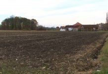 Ima li svrhe sejati jesenju setvu u Srbiji?