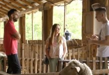 U toku je izbor mladog poljoprivrednika godine