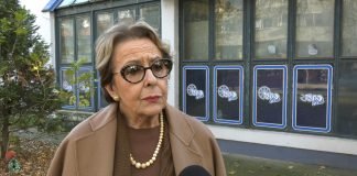 Svetlana Bojković – Srbija zahteva debelu reformu, na ivici smo propasti