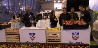 Da li je Izrael novo tržište za srpsko voće i povrće?