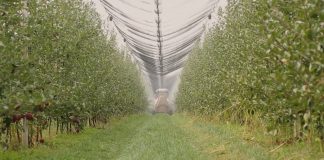 Jesenji folijarni tretman zasada jabuke