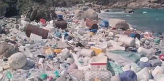 Globalna peticija za ukidanje plastike