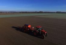 Zasejano manje pšenice – Seme sa tavana, zemljište nedovoljno nađubreno