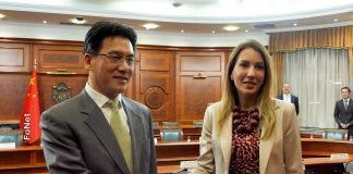 Sveobuhvatna saradnja Srbije i Kine u oblasti energetike