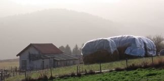 IPARD 3 – U februaru sredstva za izgradnju objekata i podizanje zasada, traktori i mašine na jesen