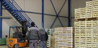 Voćarstvo u Srbiji – Proizvodnja, rezultati, potencijal