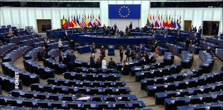 Evropski parlament – Grupa Obnovimo poziva na međunarodnu istragu o izborima u Srbiji