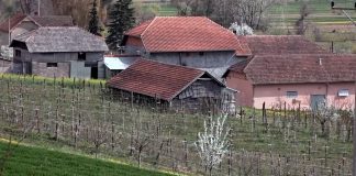 Od danas 1. Februara počinje podnošenje zahteva za podsticaje po hektaru, do najviše 100 hektara