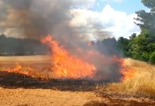 PPU Zrenjanin – Požari na otvorenom