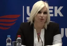 Zorana Mihajlović se povlači iz politike