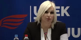 Zorana Mihajlović se povlači iz politike