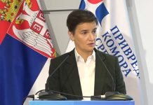 Brnabić – Radiću na tome da Skupštinu Srbije što više približim privredi