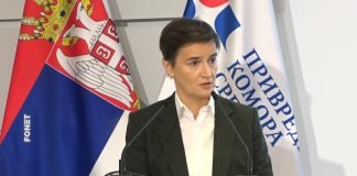 Brnabić – Radiću na tome da Skupštinu Srbije što više približim privredi