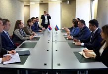 Brnabić se sastala sa predsednicima parlamenata Azerbejdžana i Egipta