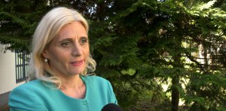 Jelena Pavlović (Mi) – Jedva čekamo nove izbore, nastup na prethodnim je bio katastrofalan