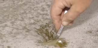 Internacionalna škola za degustatore meda u Beogradu 13. i 14. aprila