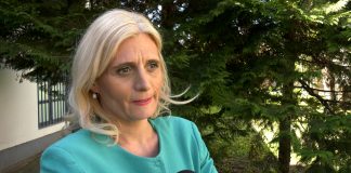 Jelena Pavlović o slučaju Ane Mihaljice – Da nije bilo pritiska javnosti, deca bi bila oduzeta