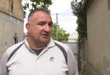 Koliko smo bezbedni u širem centru grada? – Psi poklali jaganjce porodice Duvnjak