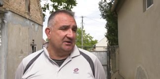 Koliko smo bezbedni u širem centru grada? – Psi poklali jaganjce porodice Duvnjak