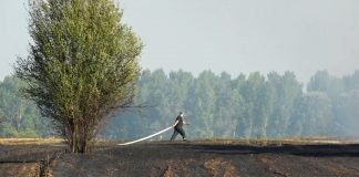Ne paliti vatru na otvorenom – Kazne za nepoštovanje zakona i do milion dinara