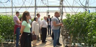 Predavanje i obuka o integralnoj zaštiti povrća u staklenicima i plastenicima