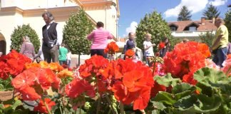 Održana četvrta po redu prolećna Cvetna pijaca u Zrenjaninu