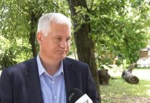 Predrag Marsenić – SNS je odgovoran za netrpeljivost i uvrede u društvu