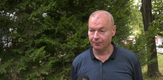 Dragan Petrović – Izbori u Francuskoj su važni zbog opšte situacije u Evropi