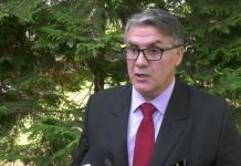 Gavrilović (DS) – Narod nas je kaznio jer nismo bili jedinstveni