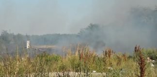 Apel građanima da ne pale travu i nisko rastinje na otvorenom prostoru
