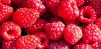 Apel otkupljivačima maline da se pridržavaju dogovora o iznosu otkupnine